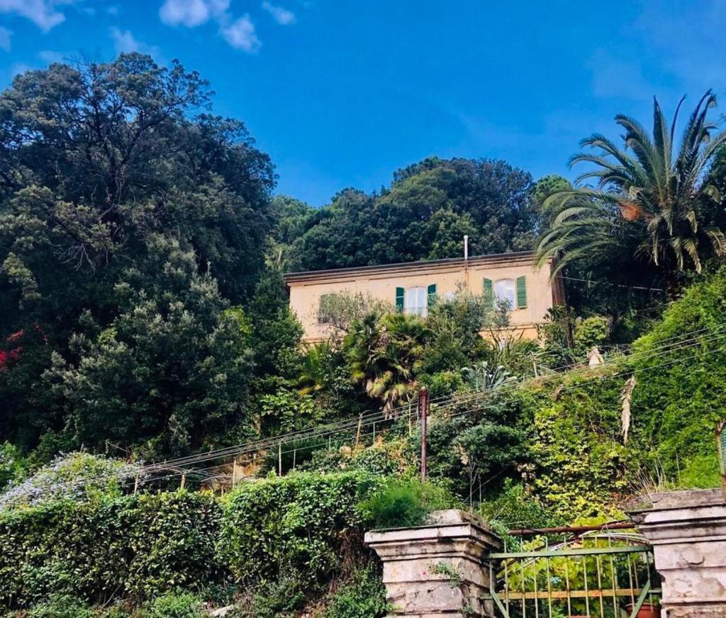 Caligo Bed & Breakfast La Spezia Exterior photo