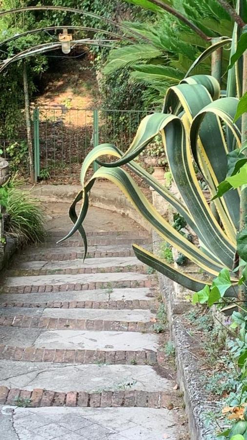 Caligo Bed & Breakfast La Spezia Exterior photo