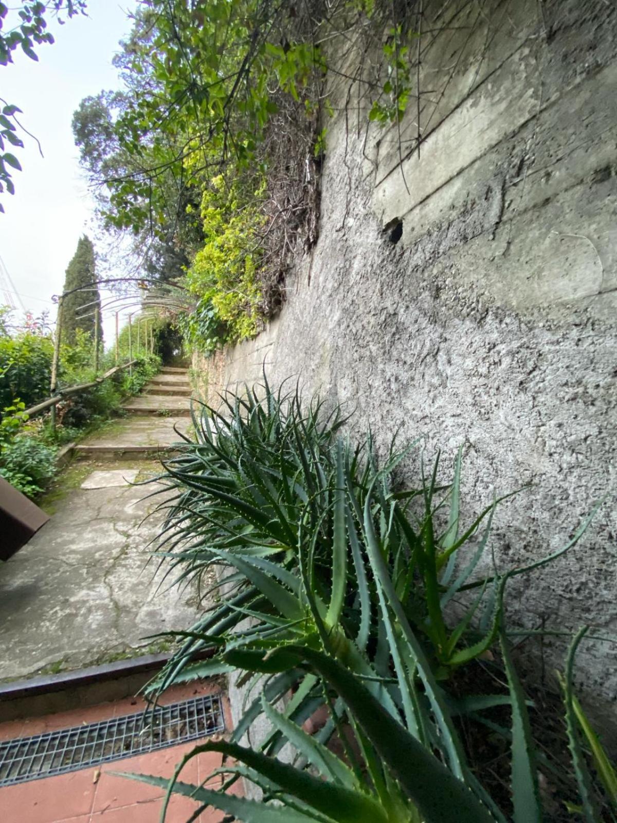 Caligo Bed & Breakfast La Spezia Exterior photo